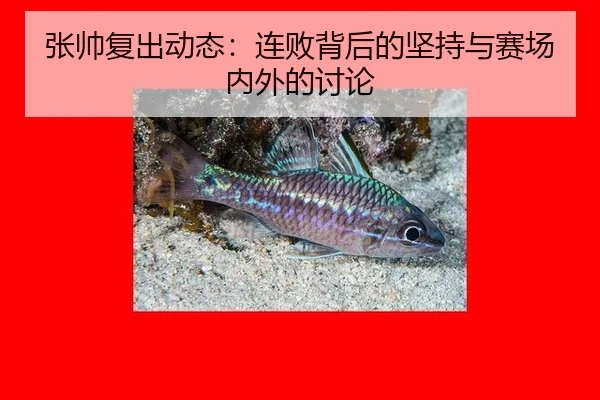 zhang-shuai-fu-chu-dong-tai-lian-bai-bei-hou-de-jian-chi-yu-sai-chang-nei-wai-de-tao-lun-2-754.jpg
